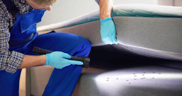 Best Rat Extermination Near Me  in Red Hill, SC