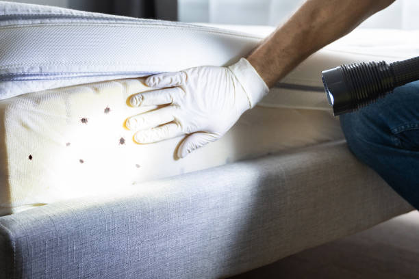 Best Pest Inspection Near Me  in Red Hill, SC
