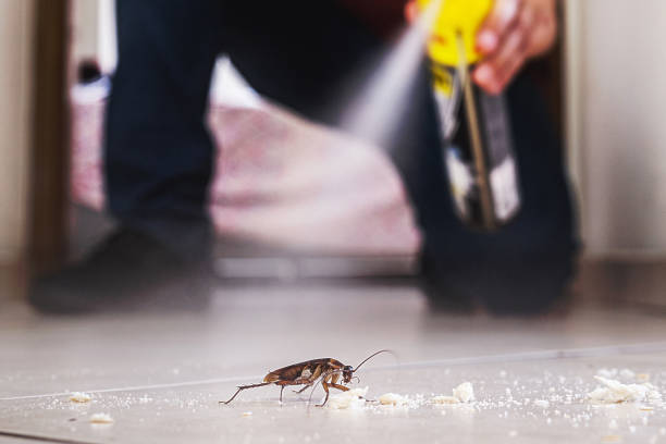 Reliable Red Hill, SC Pest Control Solutions